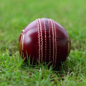 Cricket Ball 2